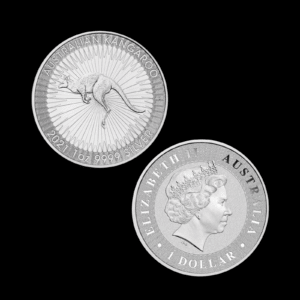 Nugget 1 once argent