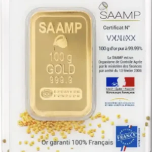 Or lingots 100g