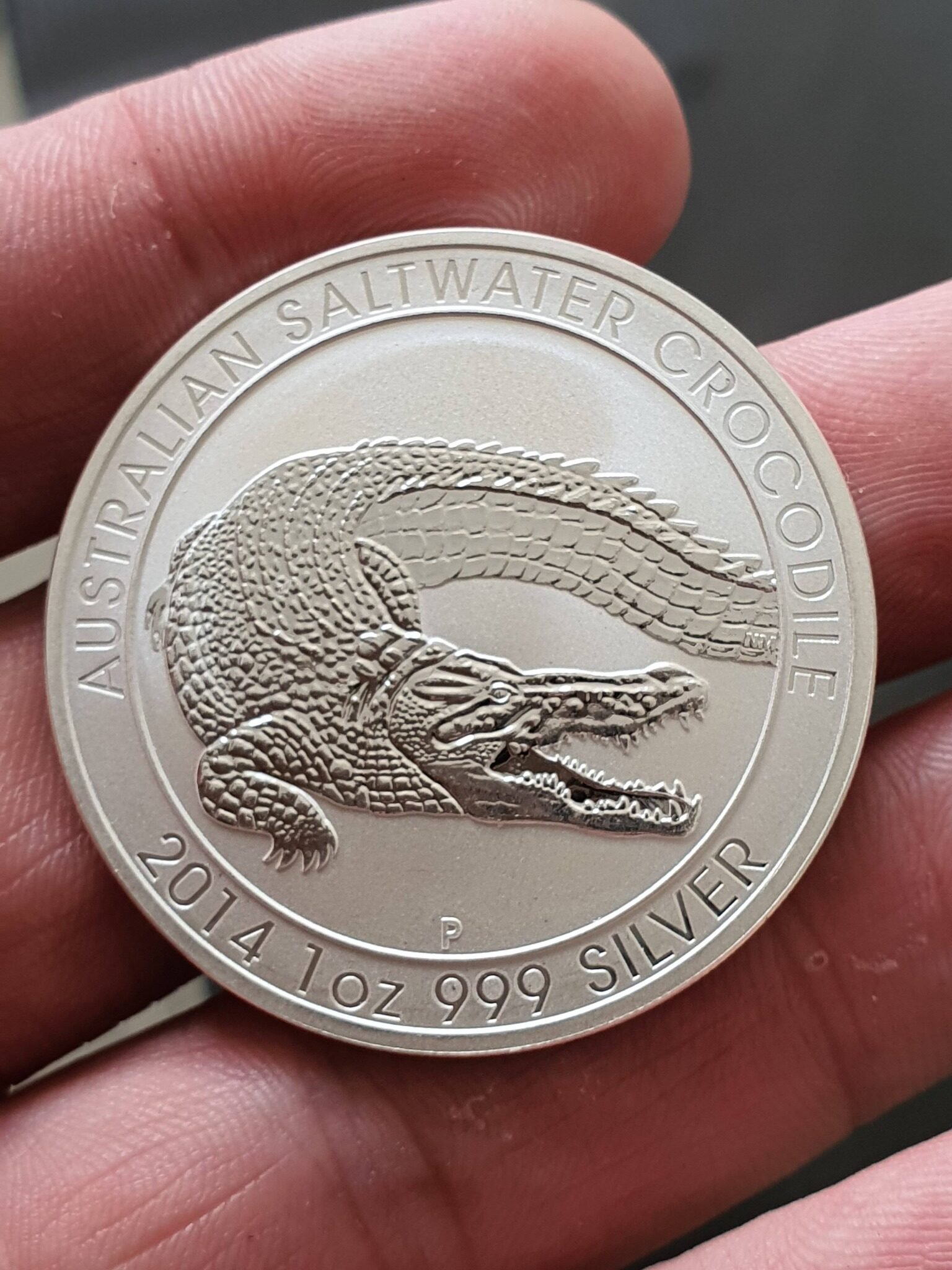 Silver Kangourou Détaillé : Australien Collectible