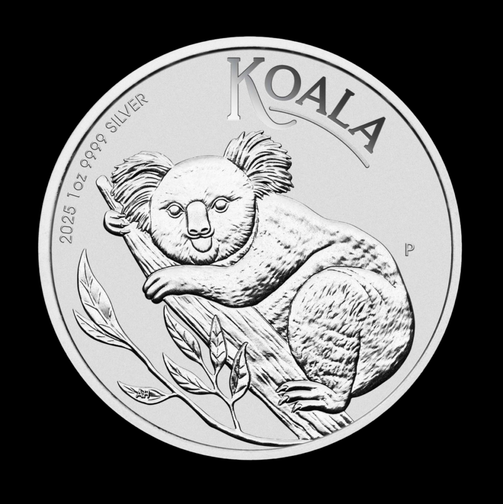 Koala 1 Once Argent